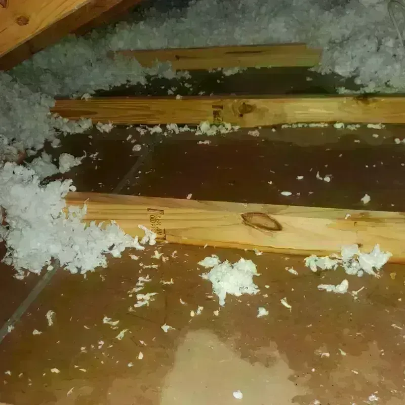 Attic Water Damage in Watervliet, NY