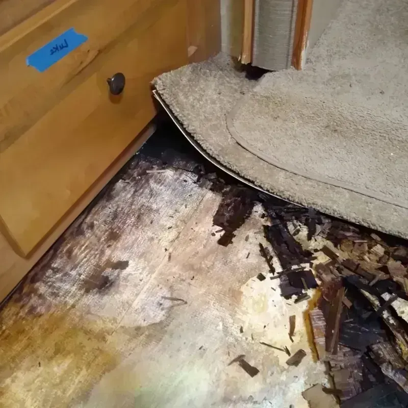 Wood Floor Water Damage in Watervliet, NY